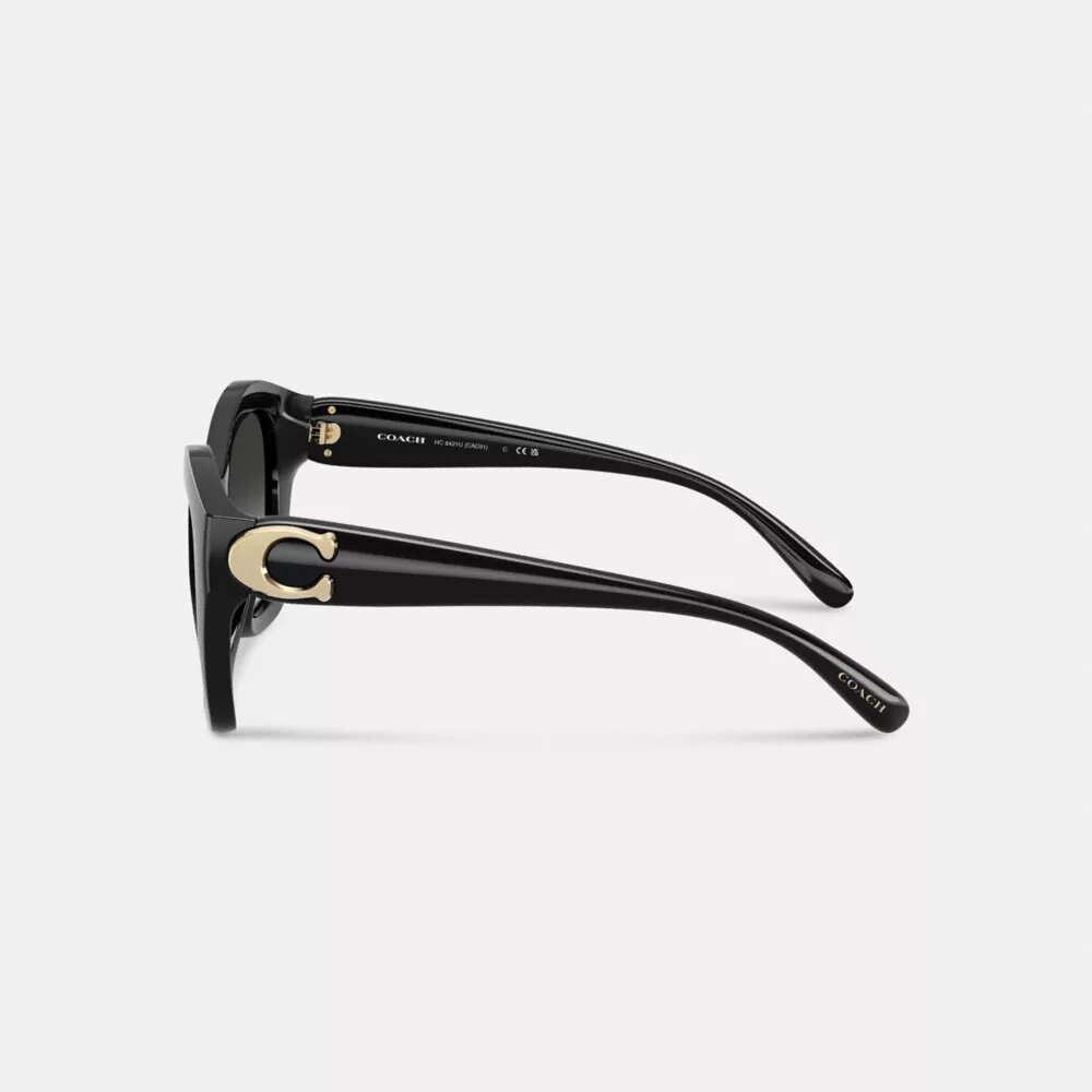 Maxi Sculpted C Oversized Geometric Sunglasses