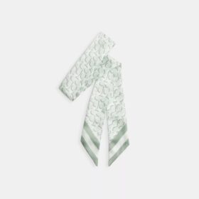 Signature Print Silk Skinny Scarf